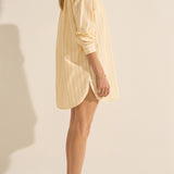 Arion Killini Stripe Silk Shirtdress