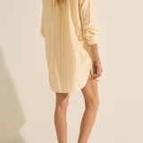 Arion Killini Stripe Silk Shirtdress