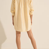 Arion Killini Stripe Silk Shirtdress