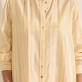 Arion Killini Stripe Silk Shirtdress