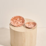 Ceramic Coral Spritz Platter