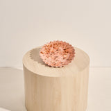 Ceramic Coral Spritz Platter