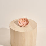 Small Ceramic Coral Spritz Bowl