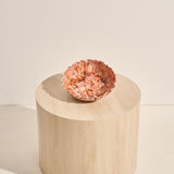 Large Ceramic Coral Spritz Bowl