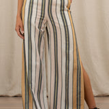 Hades High Waisted Pants- Fez Stripe